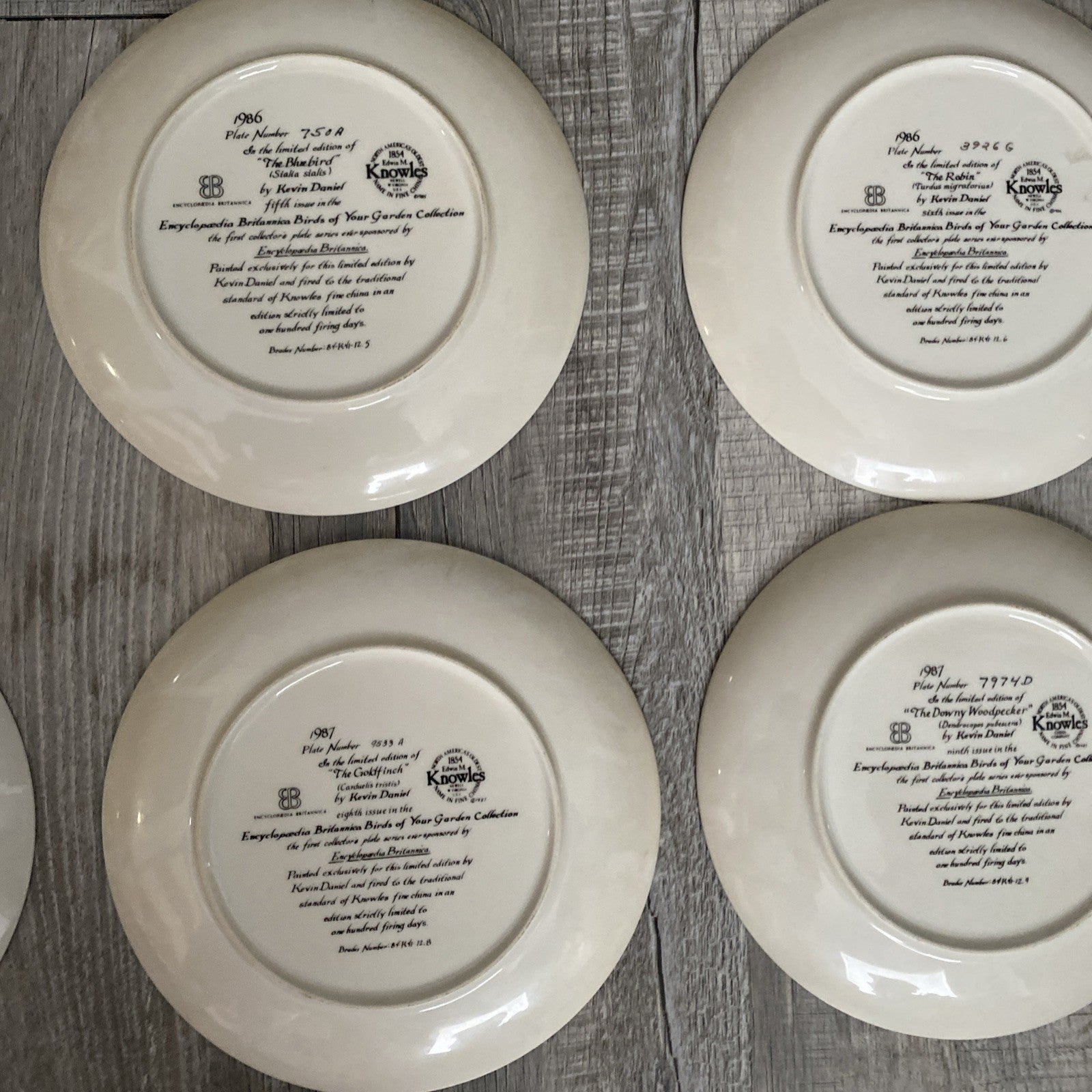 Set Of 9 Knowles Encyclopedia Britannica Birds Of Your Garden Collection Plates