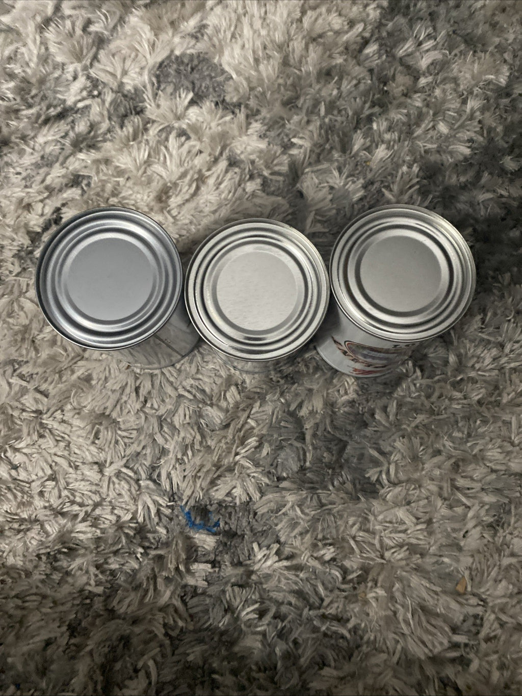 Set Of 3 Campbells Soup Napoleon Plant Metal Can Banks Employee FREE SHIPPING