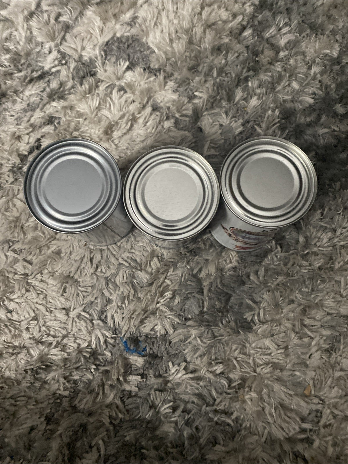 Set Of 3 Campbells Soup Napoleon Plant Metal Can Banks Employee FREE SHIPPING