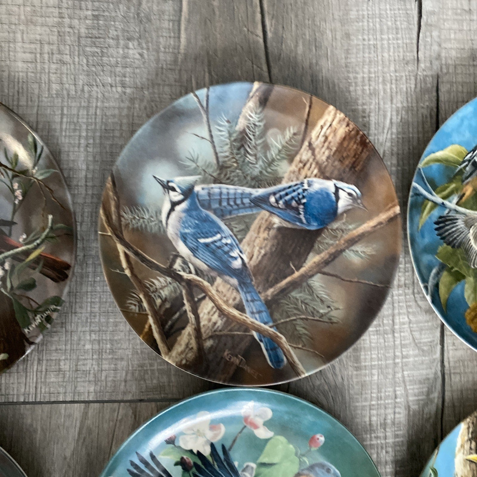 Set Of 9 Knowles Encyclopedia Britannica Birds Of Your Garden Collection Plates