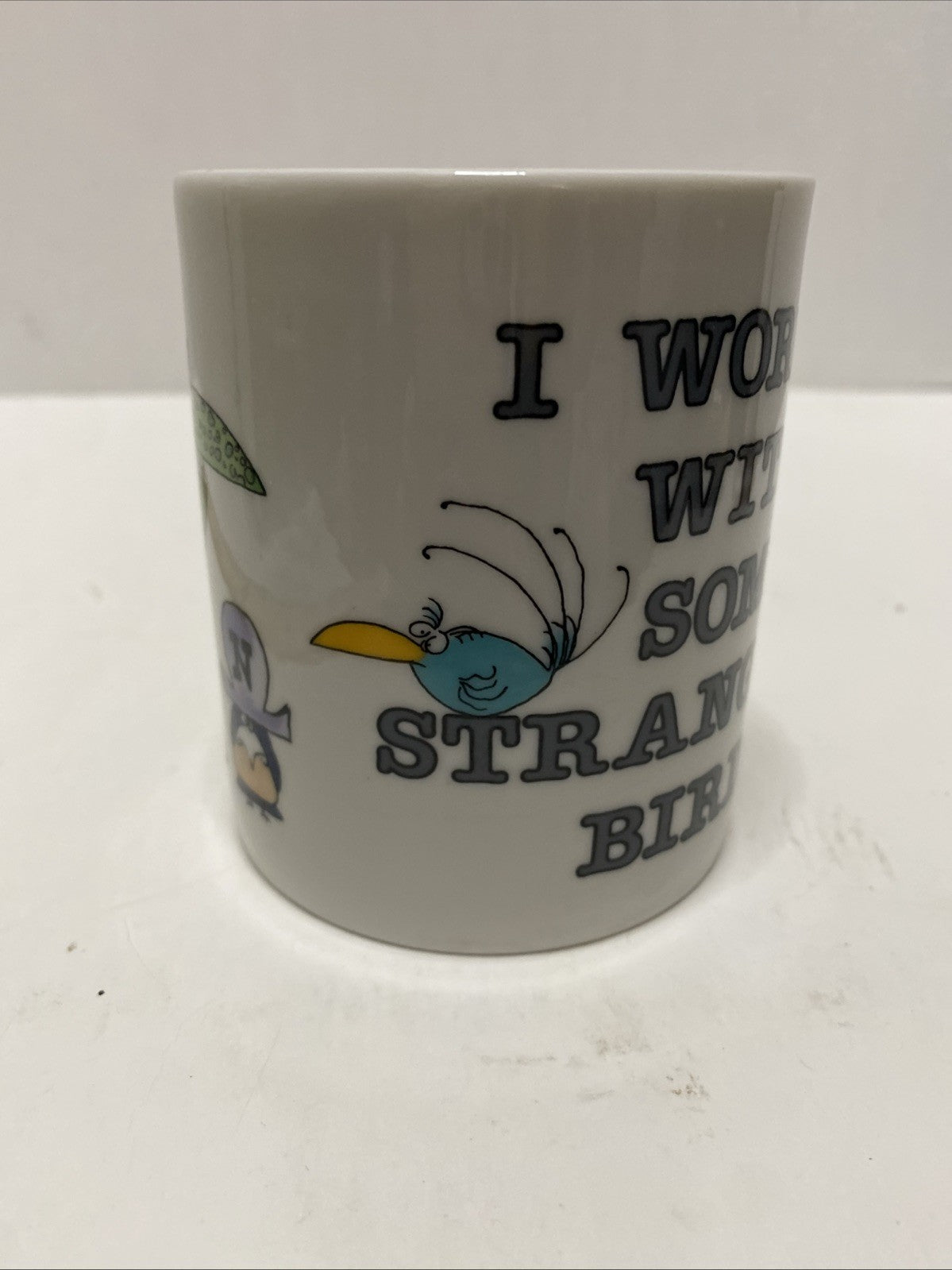 Message Mugs I Work With Some Strange Birds Coffee Mug Cup Japan