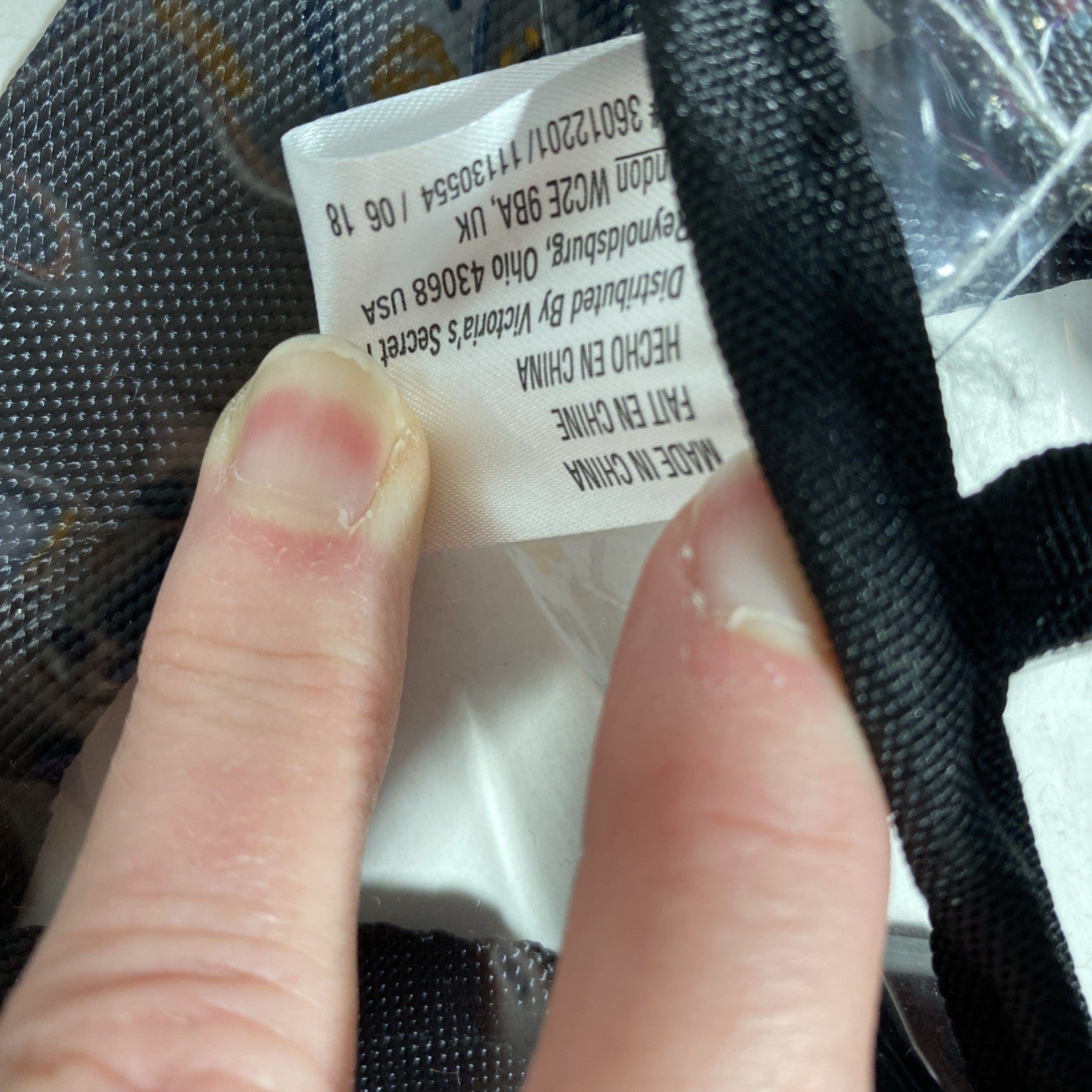 Victorias Secret PINK Michigan Clear Mini Backpack