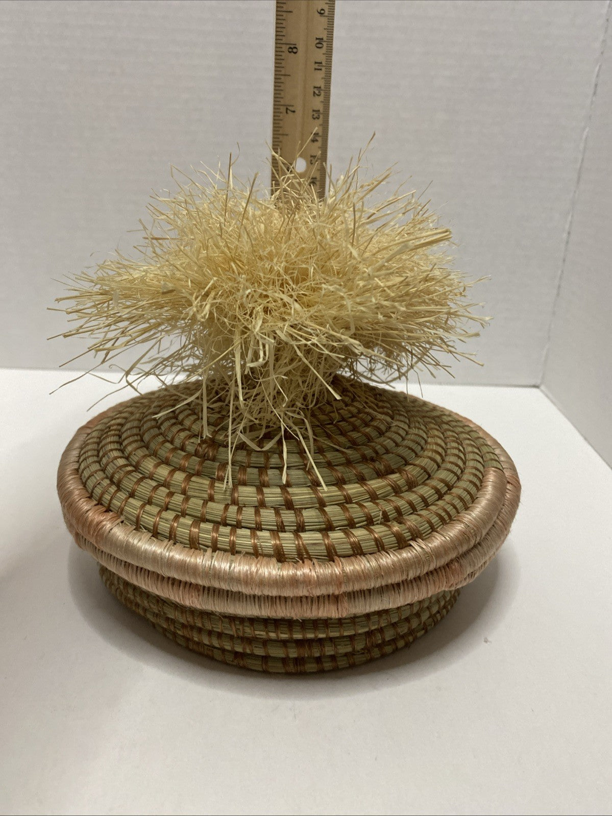 Opalhouse Jungalow Woven Pom Lidded Basket