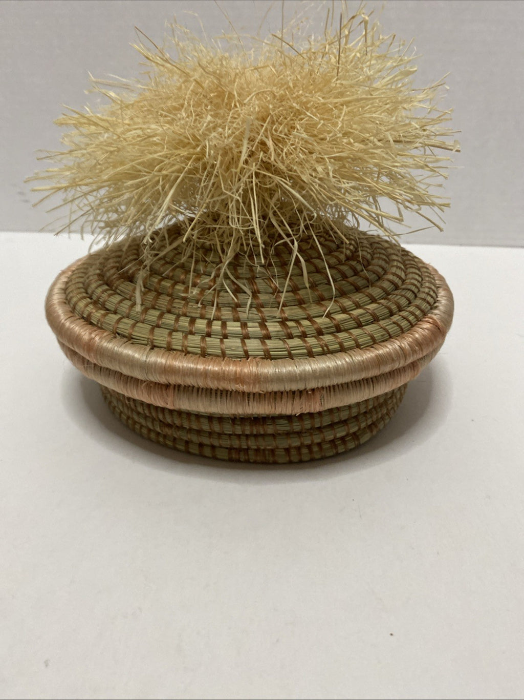Opalhouse Jungalow Woven Pom Lidded Basket