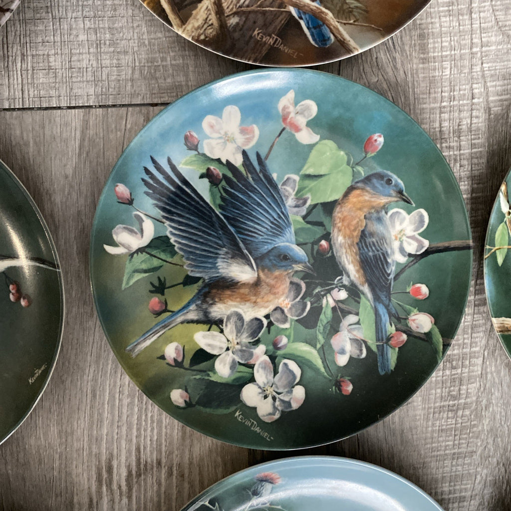 Set Of 9 Knowles Encyclopedia Britannica Birds Of Your Garden Collection Plates