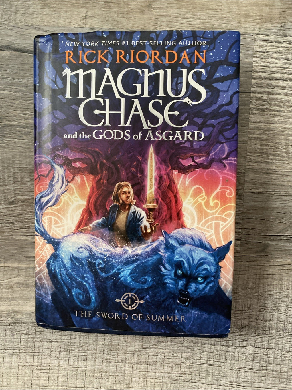 Magnus Chase and the Gods of Asgard, Book 1: The Sword of Summer by Rick Riordan