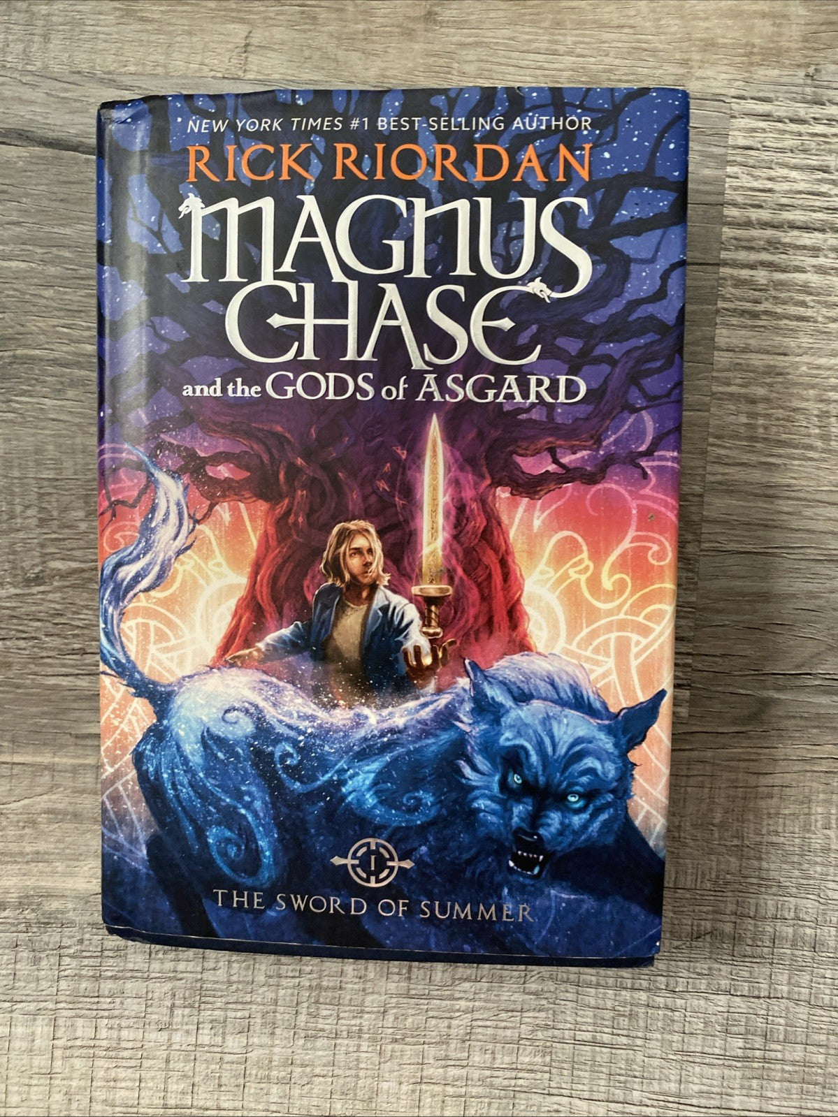 Magnus Chase and the Gods of Asgard, Book 1: The Sword of Summer by Rick Riordan