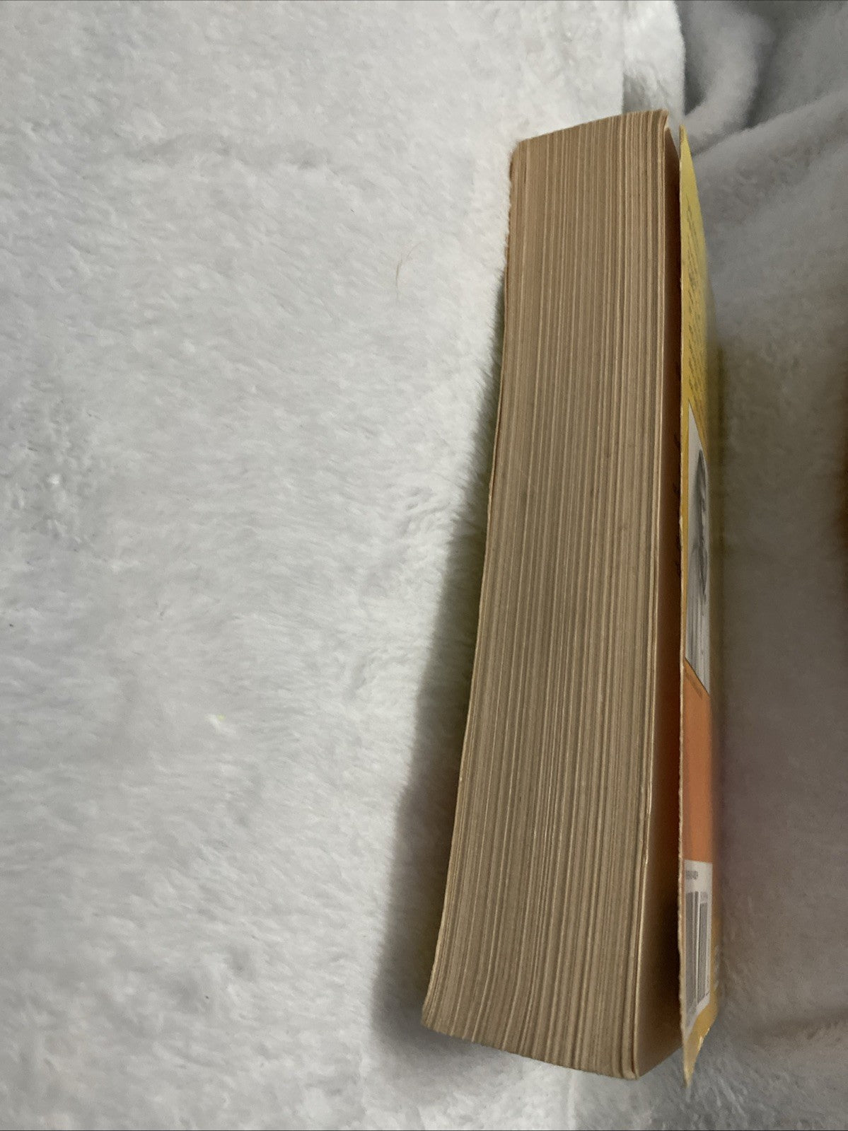 Echo Burning; Jack Reacher paperback, Lee Child