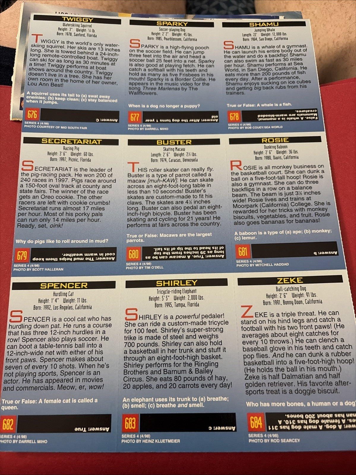 Shamu the Whale Animal Athletes 1998 Sports Illustrated for Kids SI 9 card sheet