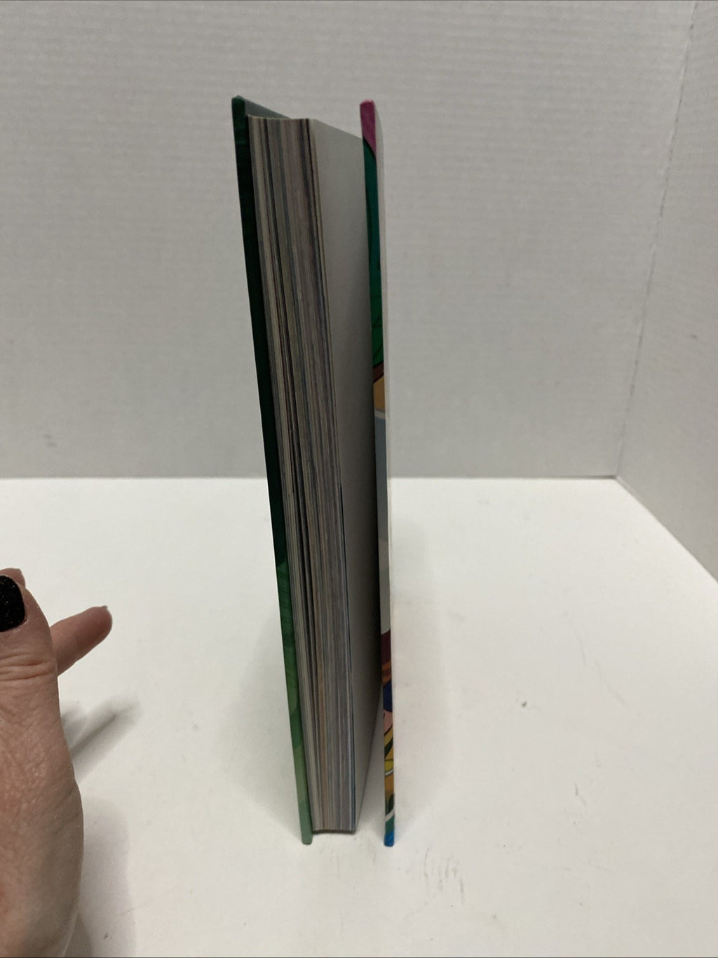 FGTeeV Presents: Into the Game! - Hardcover By FGTeeV - Like New