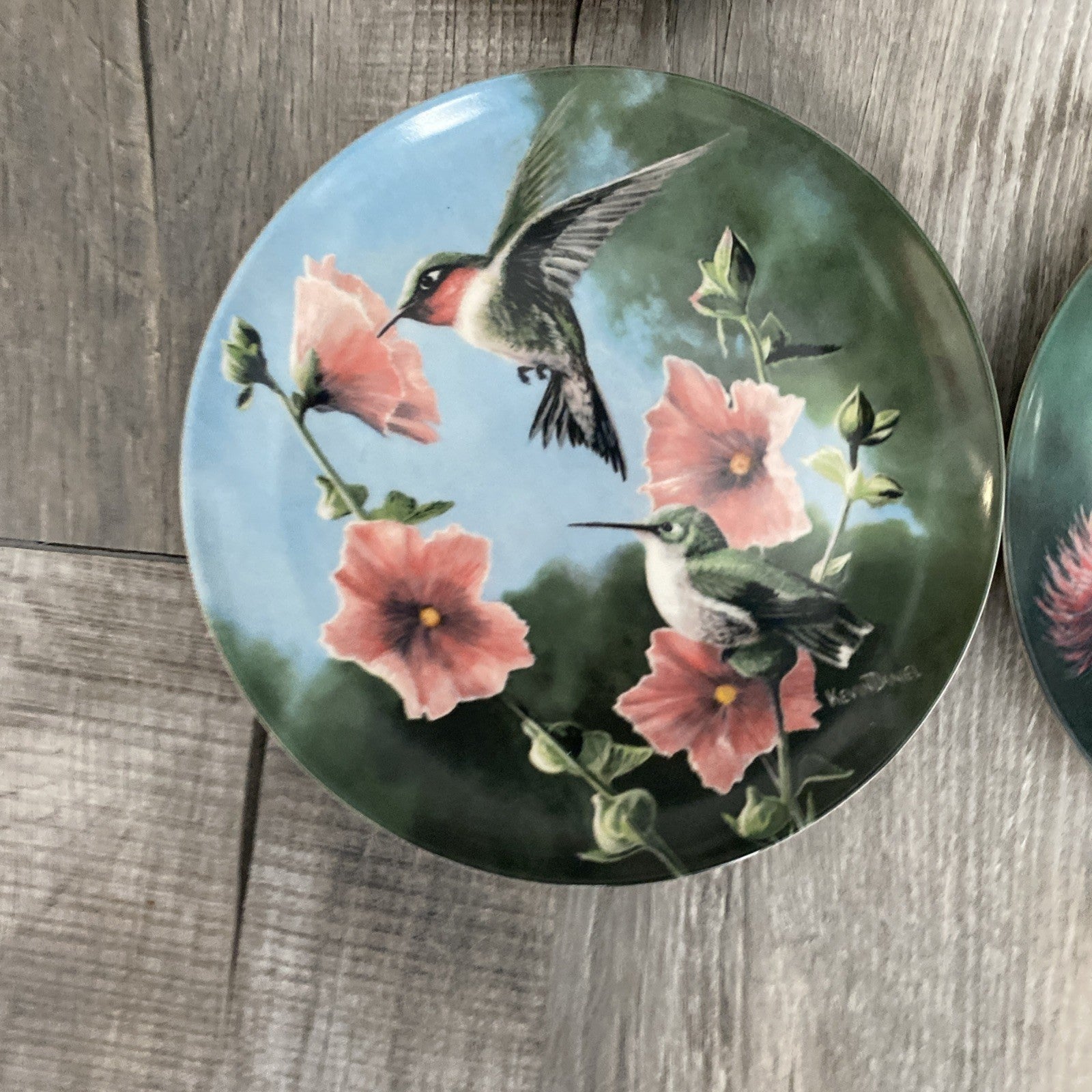 Set Of 9 Knowles Encyclopedia Britannica Birds Of Your Garden Collection Plates