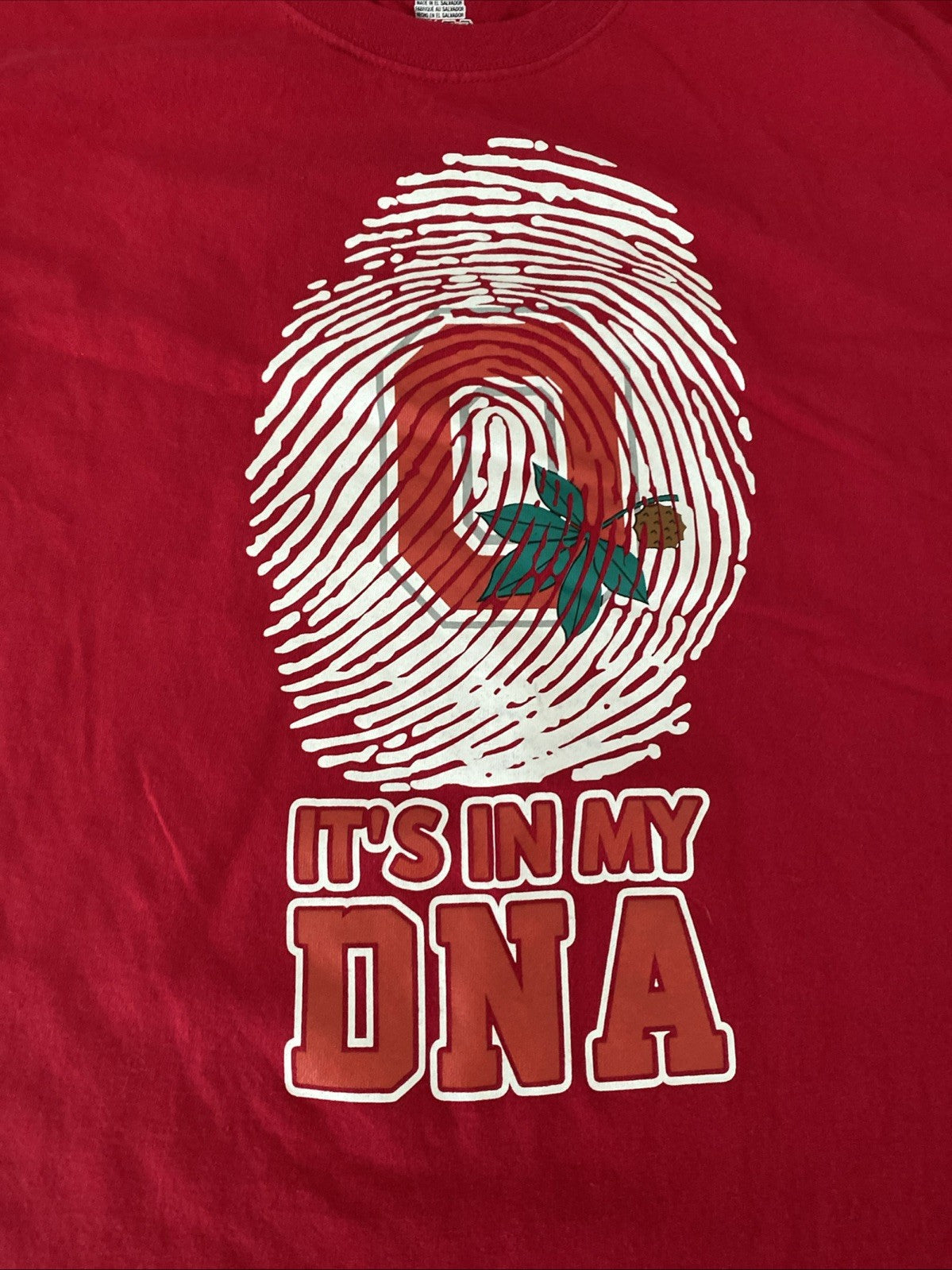 Ohio State university large Hanes short sleeve T-shirt it’s in my DNA free ship