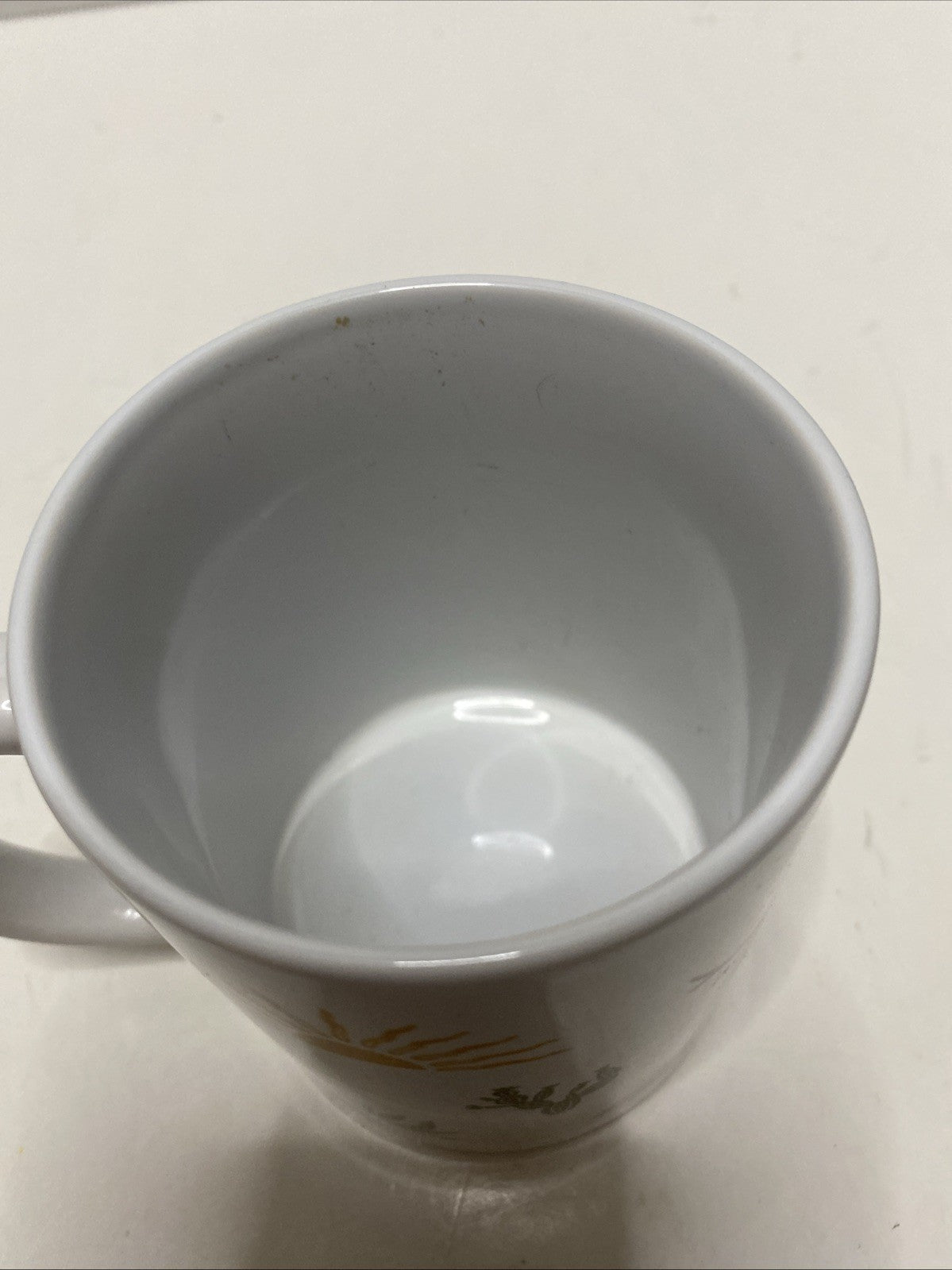 Colorado Vibes Mug