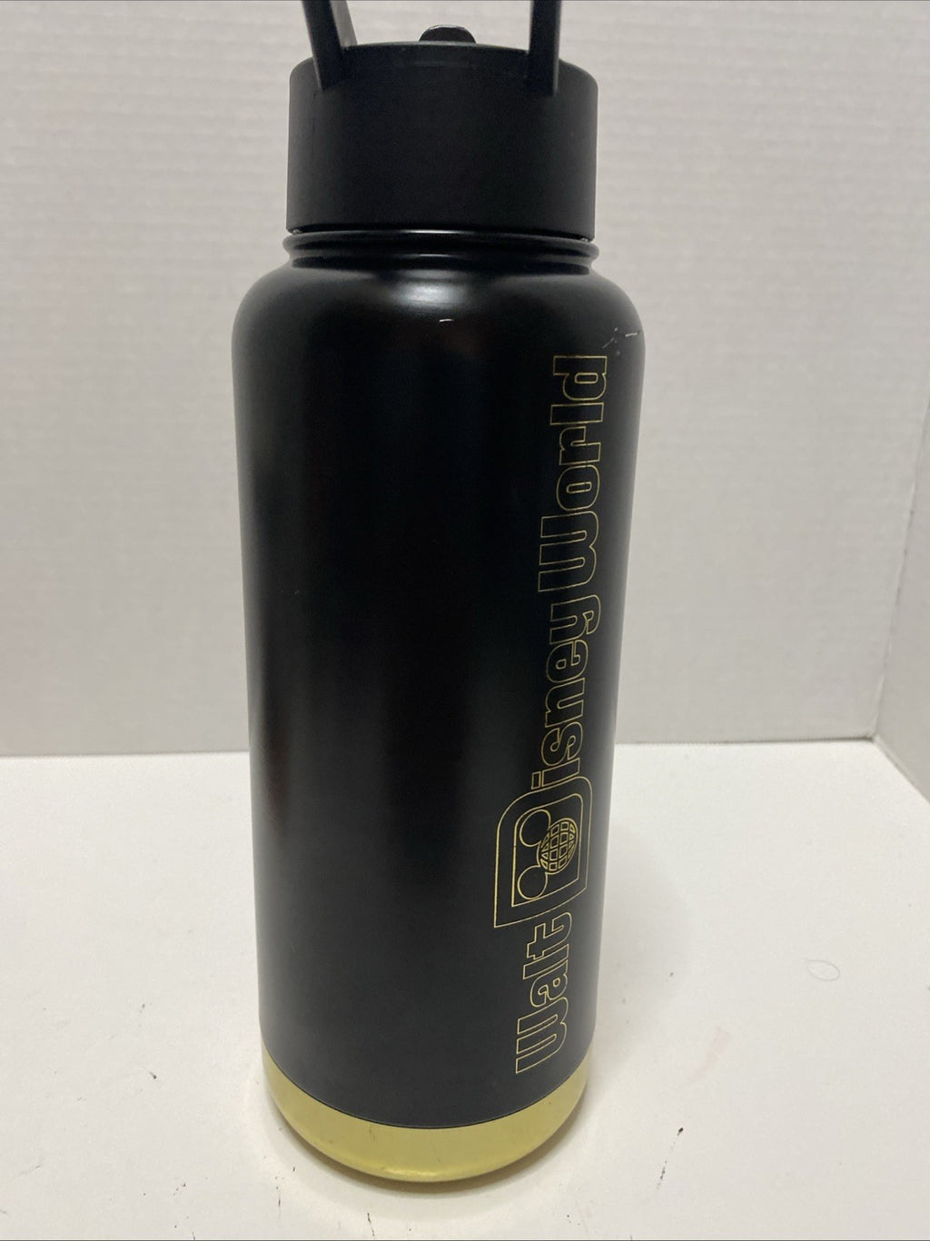 Walt Disney World Cinderella Castle Black & Gold Outline 31.5 oz Tumbler Bottle