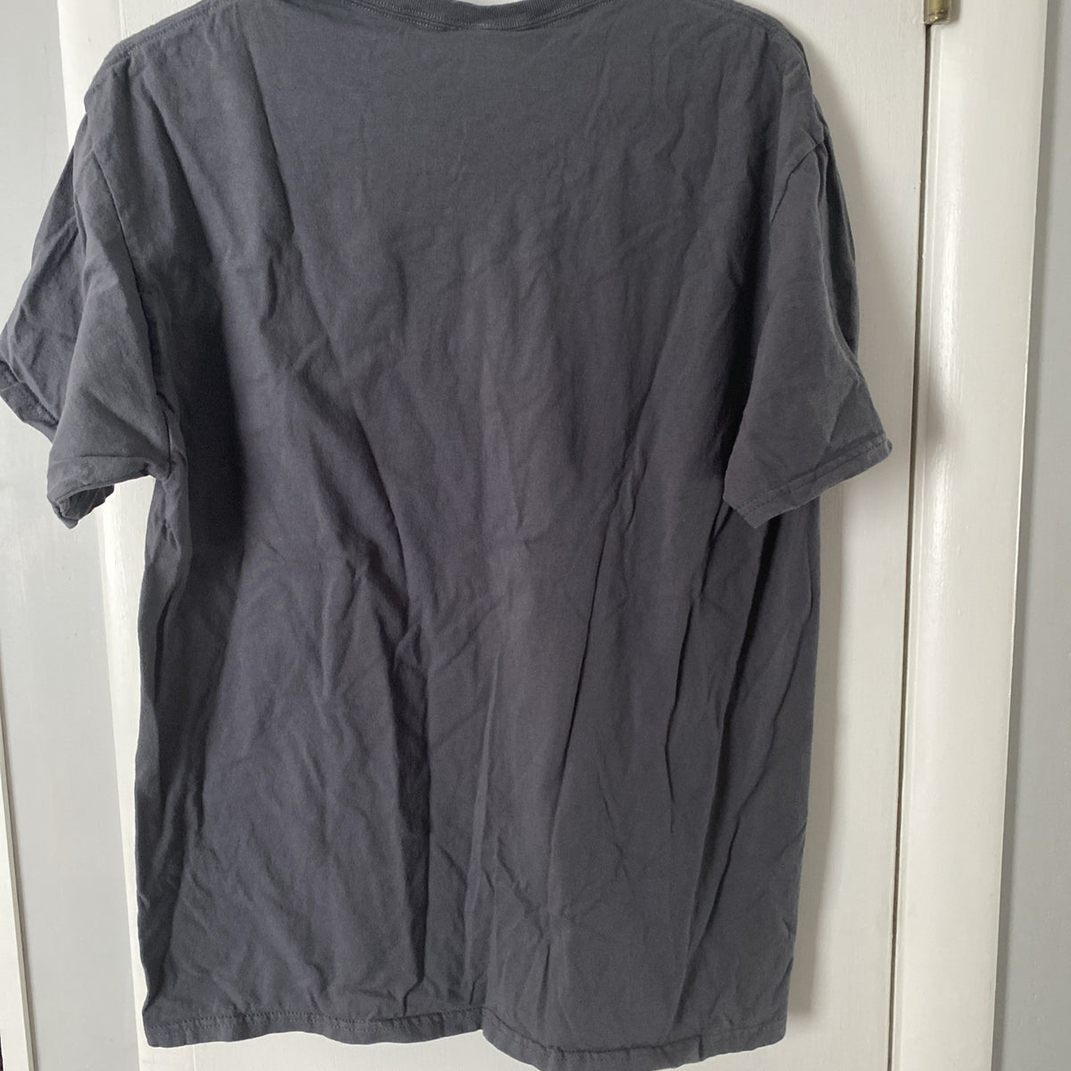 Great Smoky Mountains outdoor adventure adult large short sleeve gray T-shirt