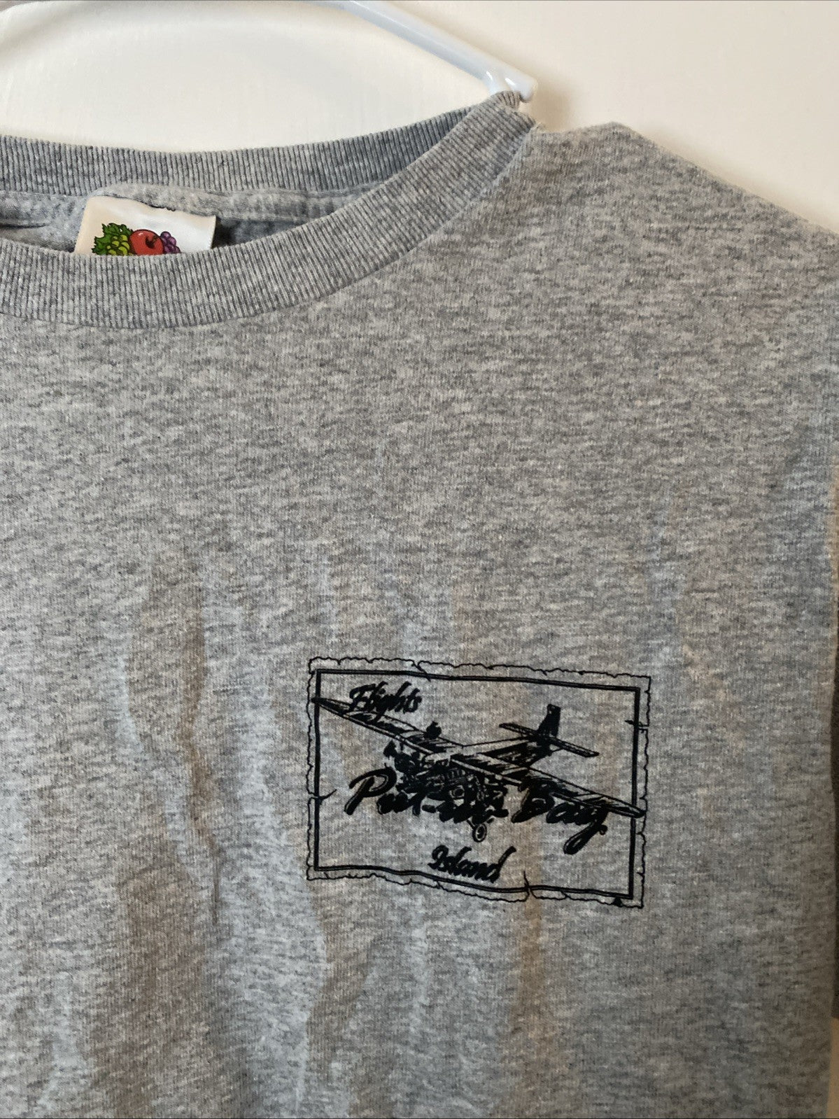 Put in Bay Island flights to put in Bay Island adult size small gray shorts slee