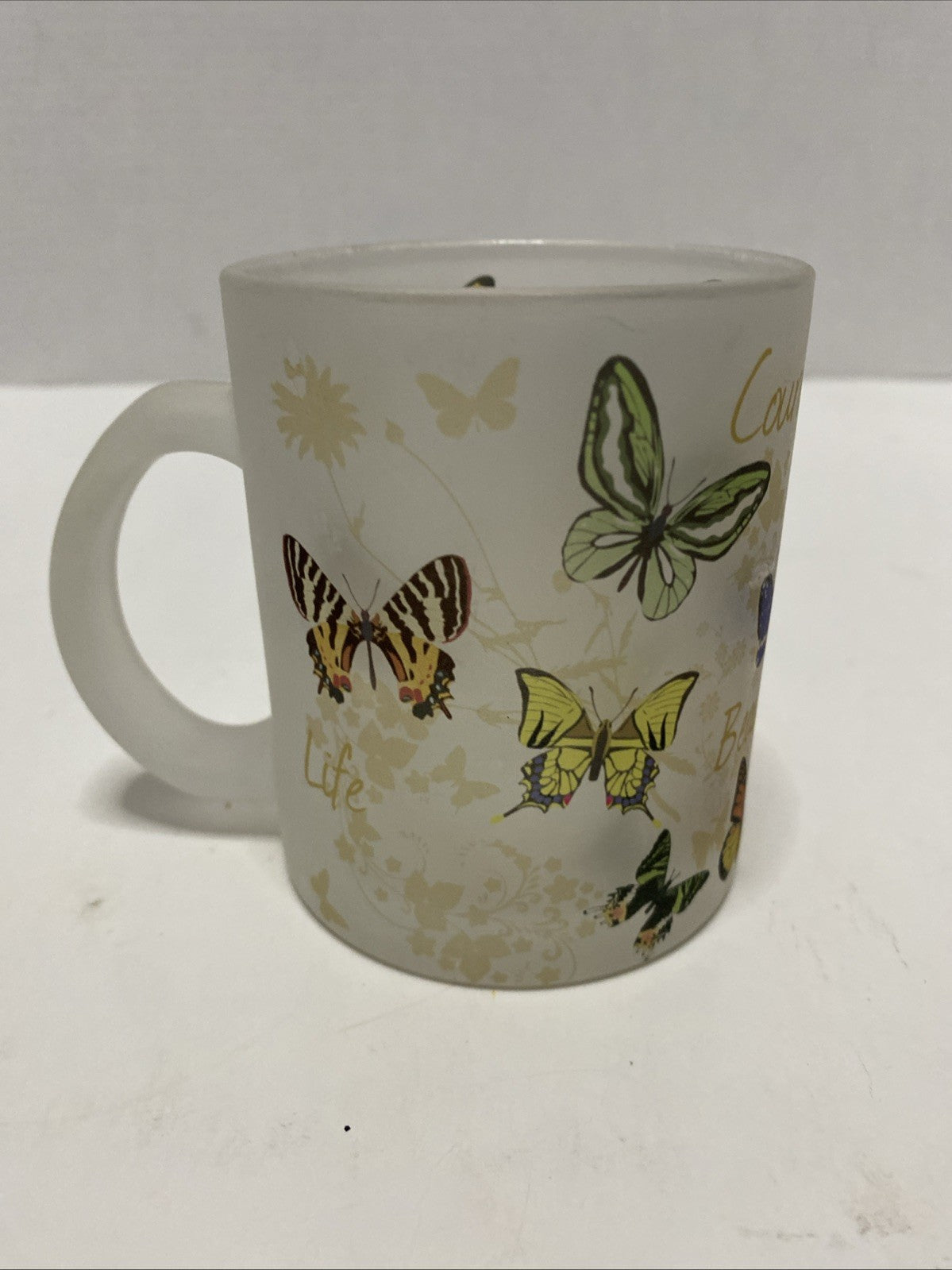 United States Holocaust Memorial Museum Washington DC Frosted Mug Butterflies