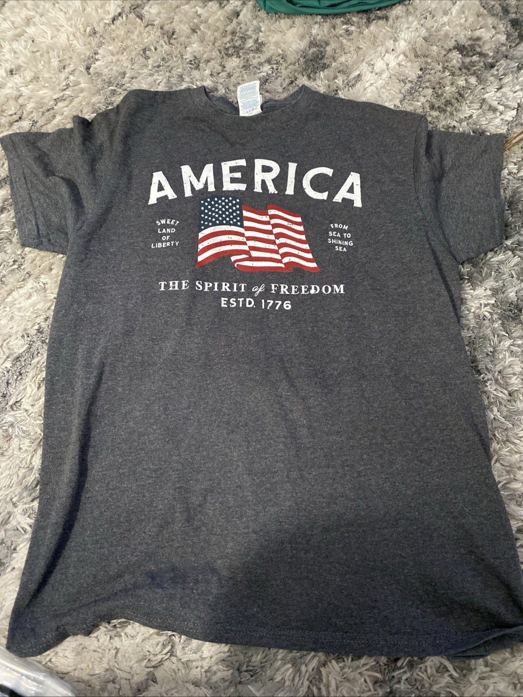 America the Spirit of freedom adult size male short sleeve T-shirt