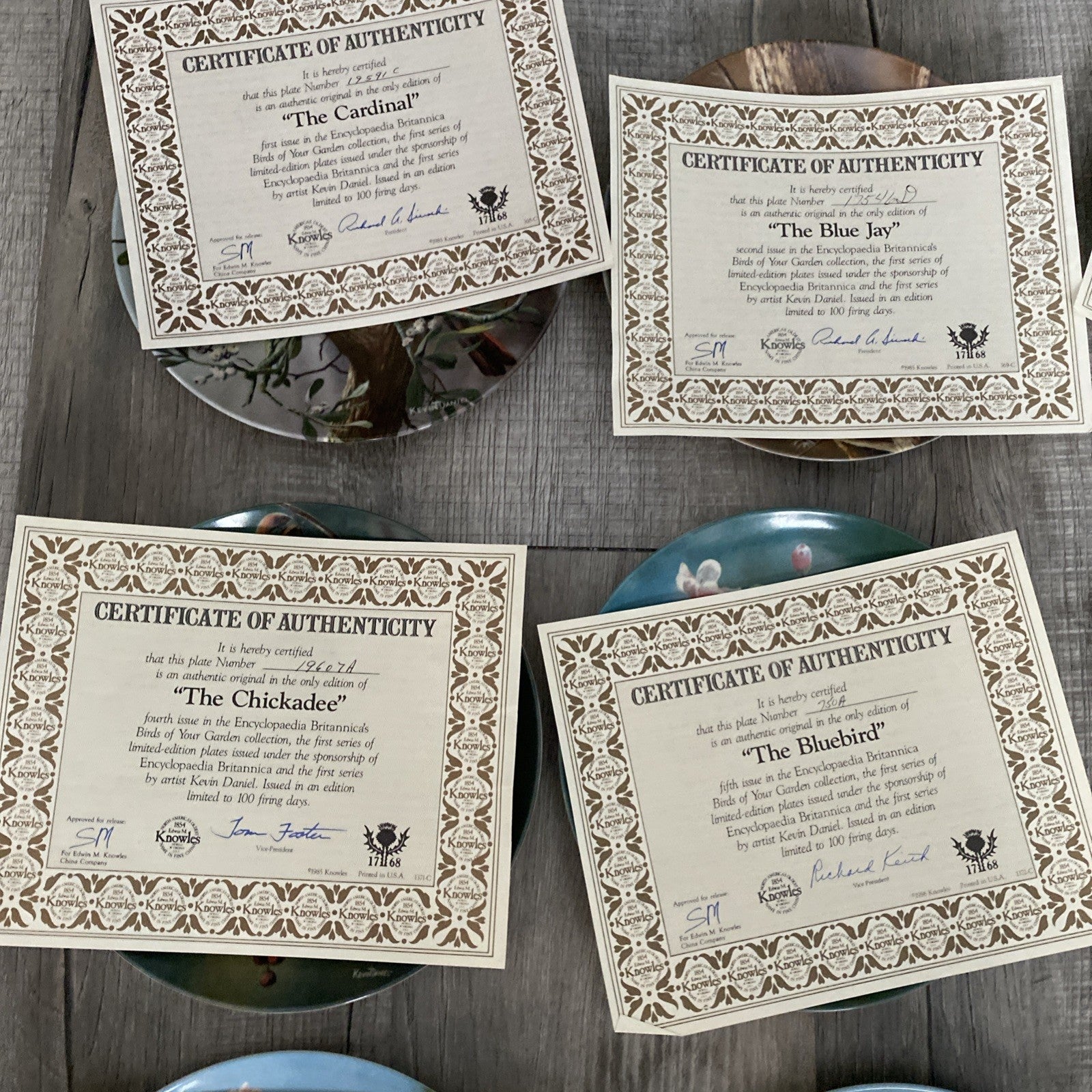 Set Of 9 Knowles Encyclopedia Britannica Birds Of Your Garden Collection Plates