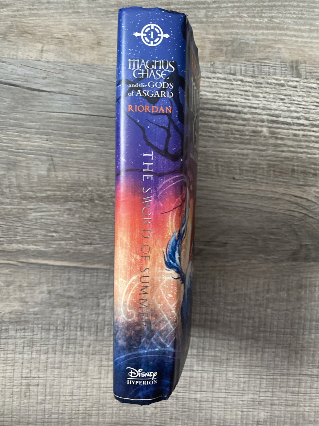 Magnus Chase and the Gods of Asgard, Book 1: The Sword of Summer by Rick Riordan