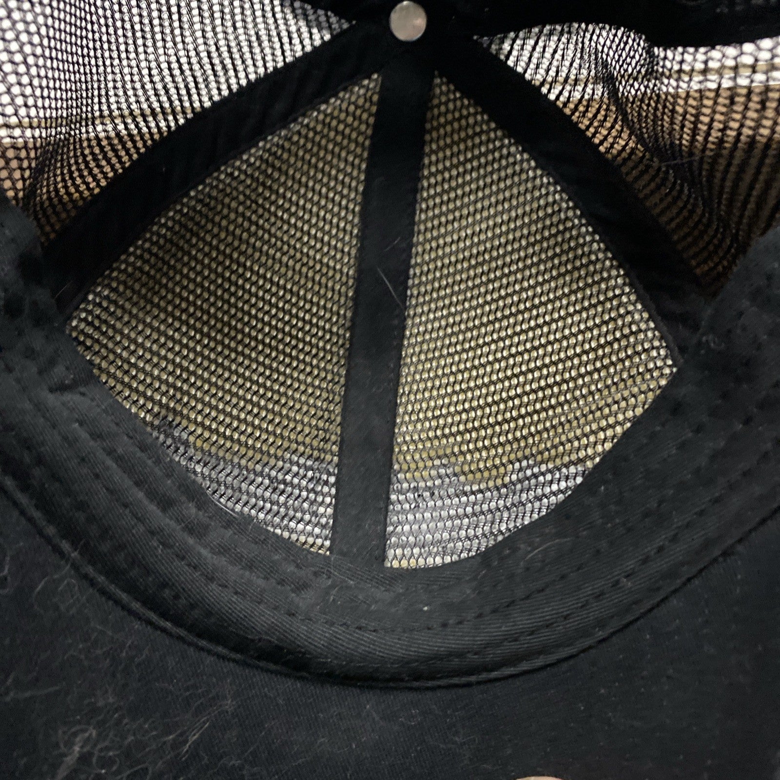 Virginia Beach adult snapback hat biodome’s headgear