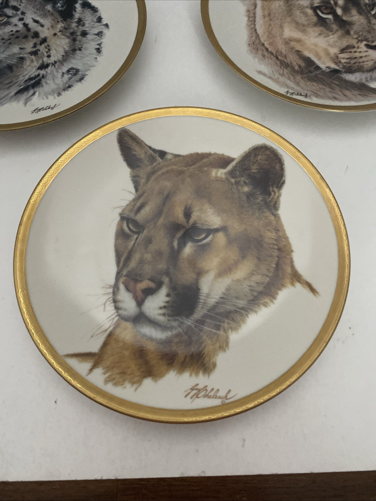 Vintage 1994 Lenox Great Cats of the World Collector Plates Lot Of 5