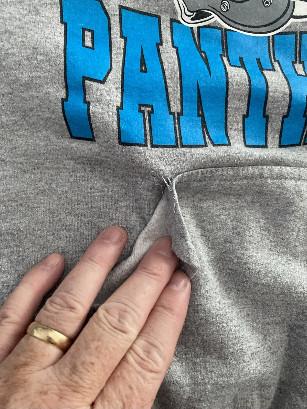 Junk Food Clothing's NFL Team Apparel CAROLILA PANTHERS Hoodie MENS Large