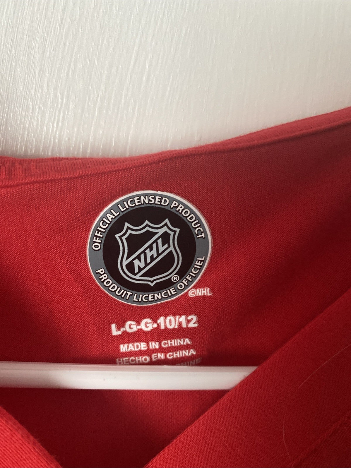 NHL Detroit Red Wings Hooded Shirt