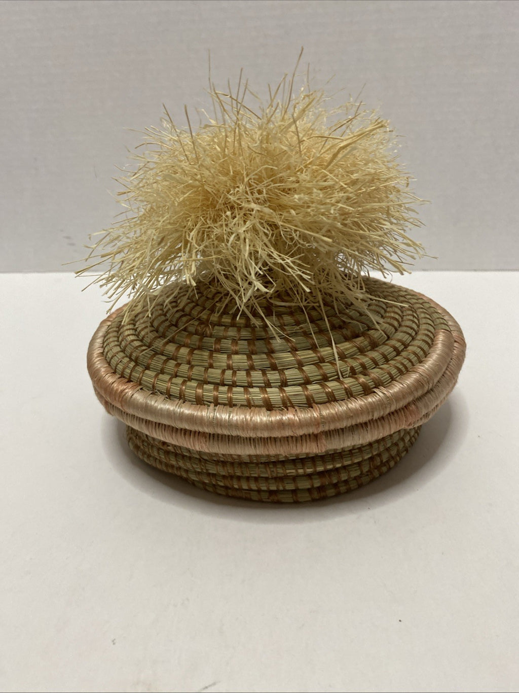 Opalhouse Jungalow Woven Pom Lidded Basket