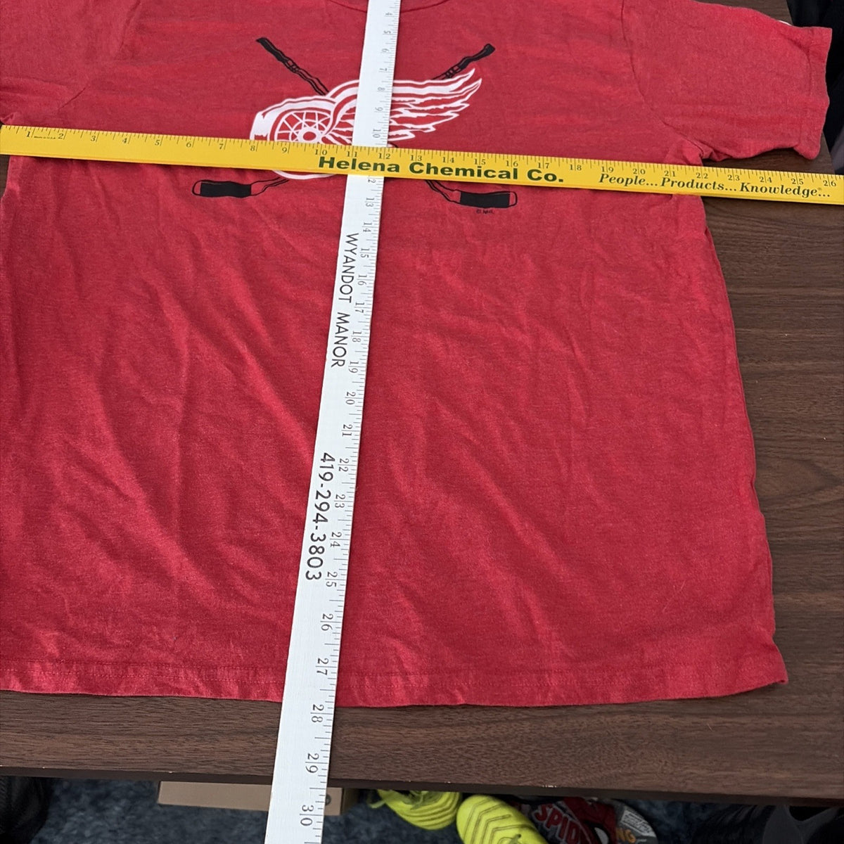 Champion Detroit Red Wings NHL Hockey Graphic T-Shirt Mens Large Red Crew Tee