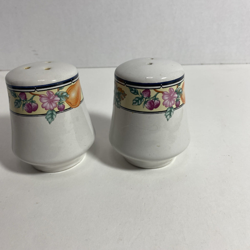 Oneida The Select Collection Orchard Stoneware Salt and Pepper Shaker- Pre-Owned