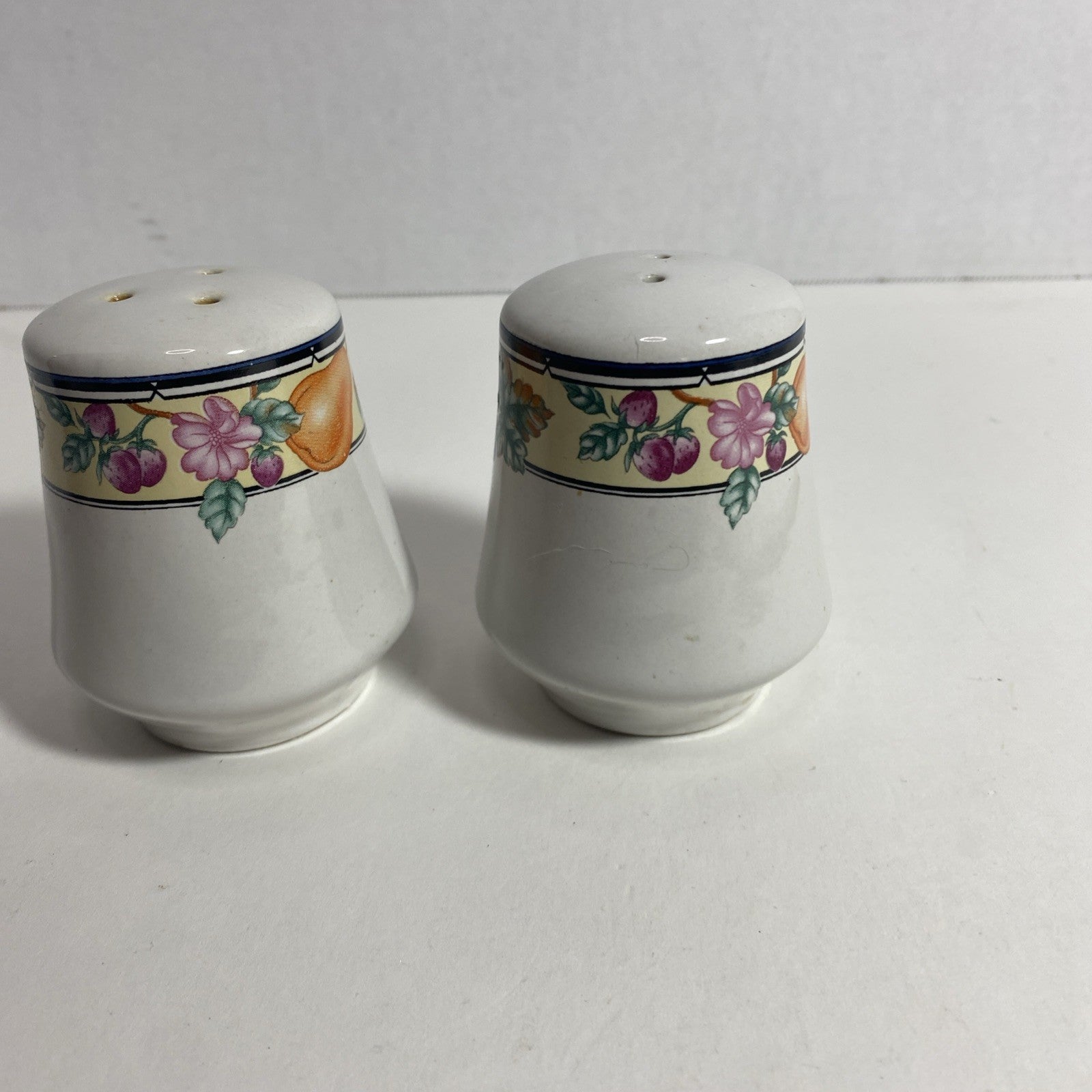 Oneida The Select Collection Orchard Stoneware Salt and Pepper Shaker- Pre-Owned