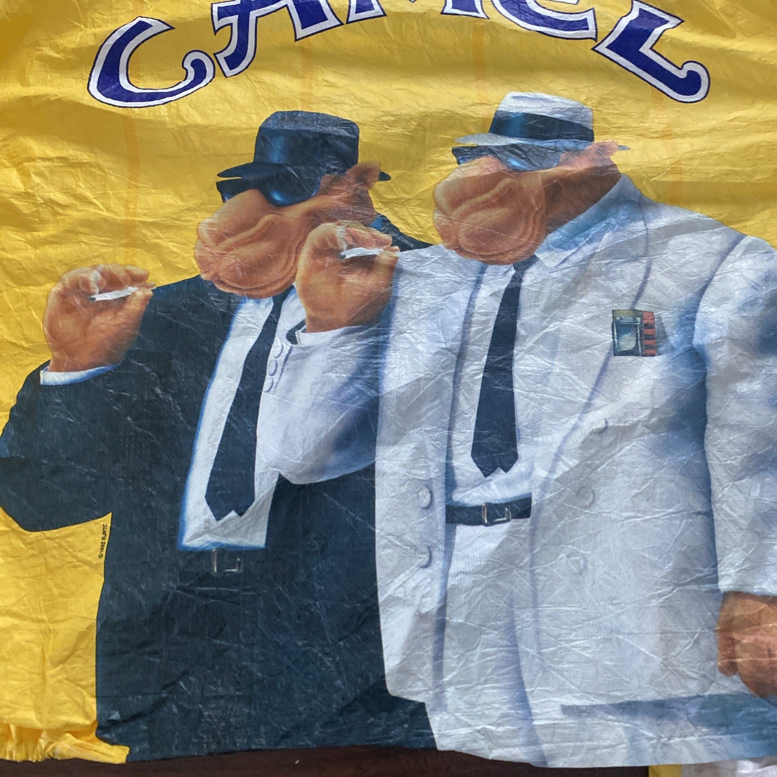 Vintage Camel Windbreaker Men Size XL Yellow Full Zip Blues Brothers 1992