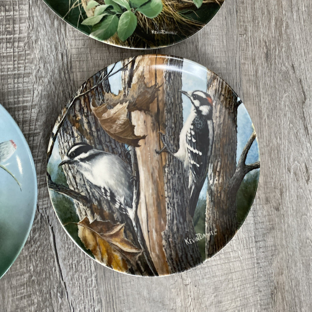 Set Of 9 Knowles Encyclopedia Britannica Birds Of Your Garden Collection Plates