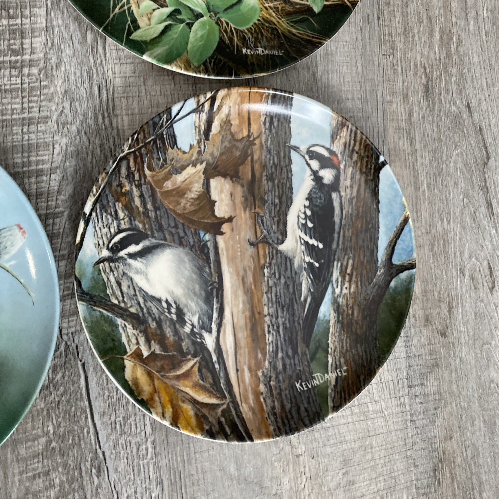 Set Of 9 Knowles Encyclopedia Britannica Birds Of Your Garden Collection Plates