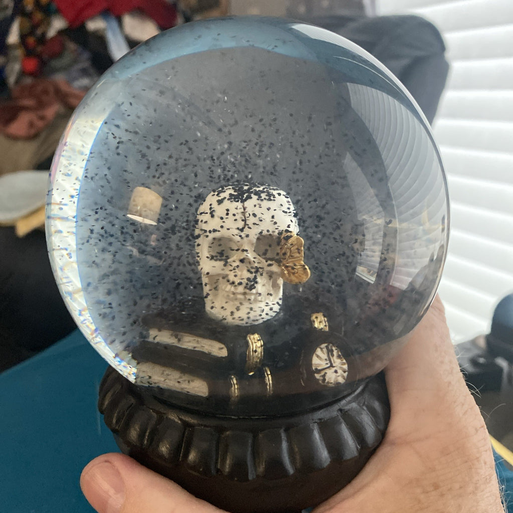 Skull On Books Snow globe