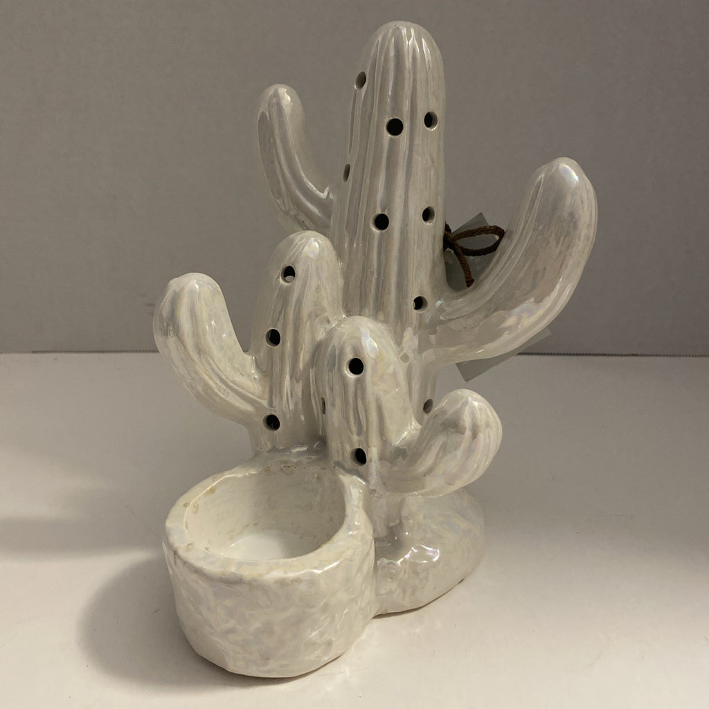 Cactus with scent satchel. Desktop White Cactus Diffuser
