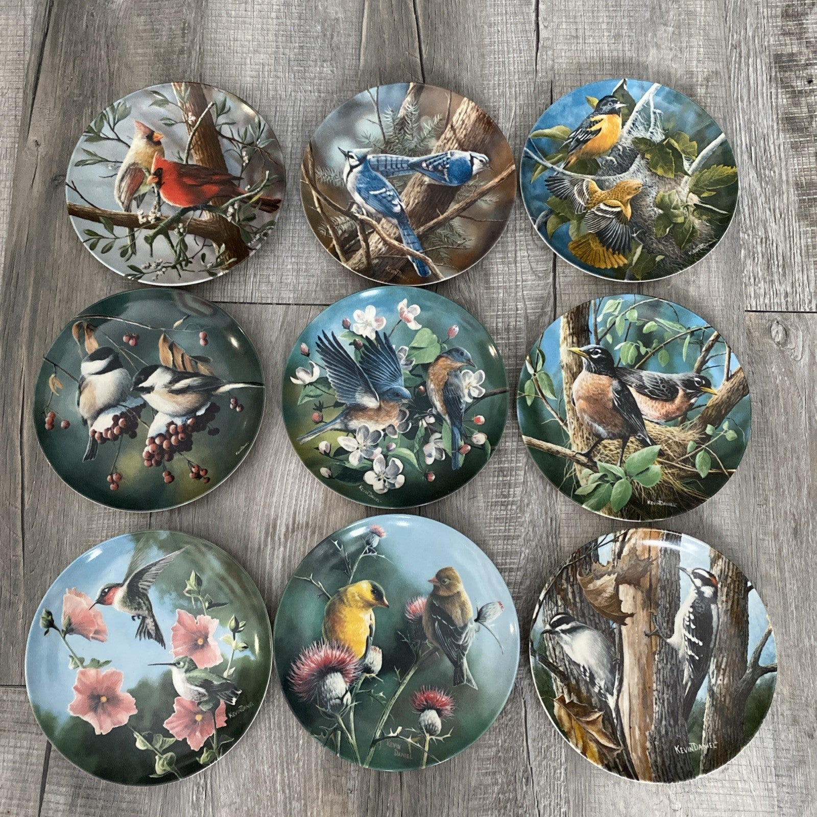 Set Of 9 Knowles Encyclopedia Britannica Birds Of Your Garden Collection Plates