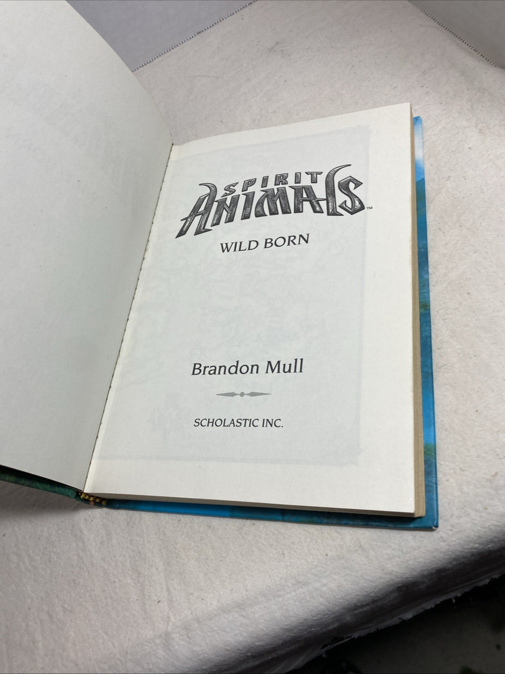Scholastic, Brandon Mull Spirit Animals Wild Born Book 1 Hardcover Book