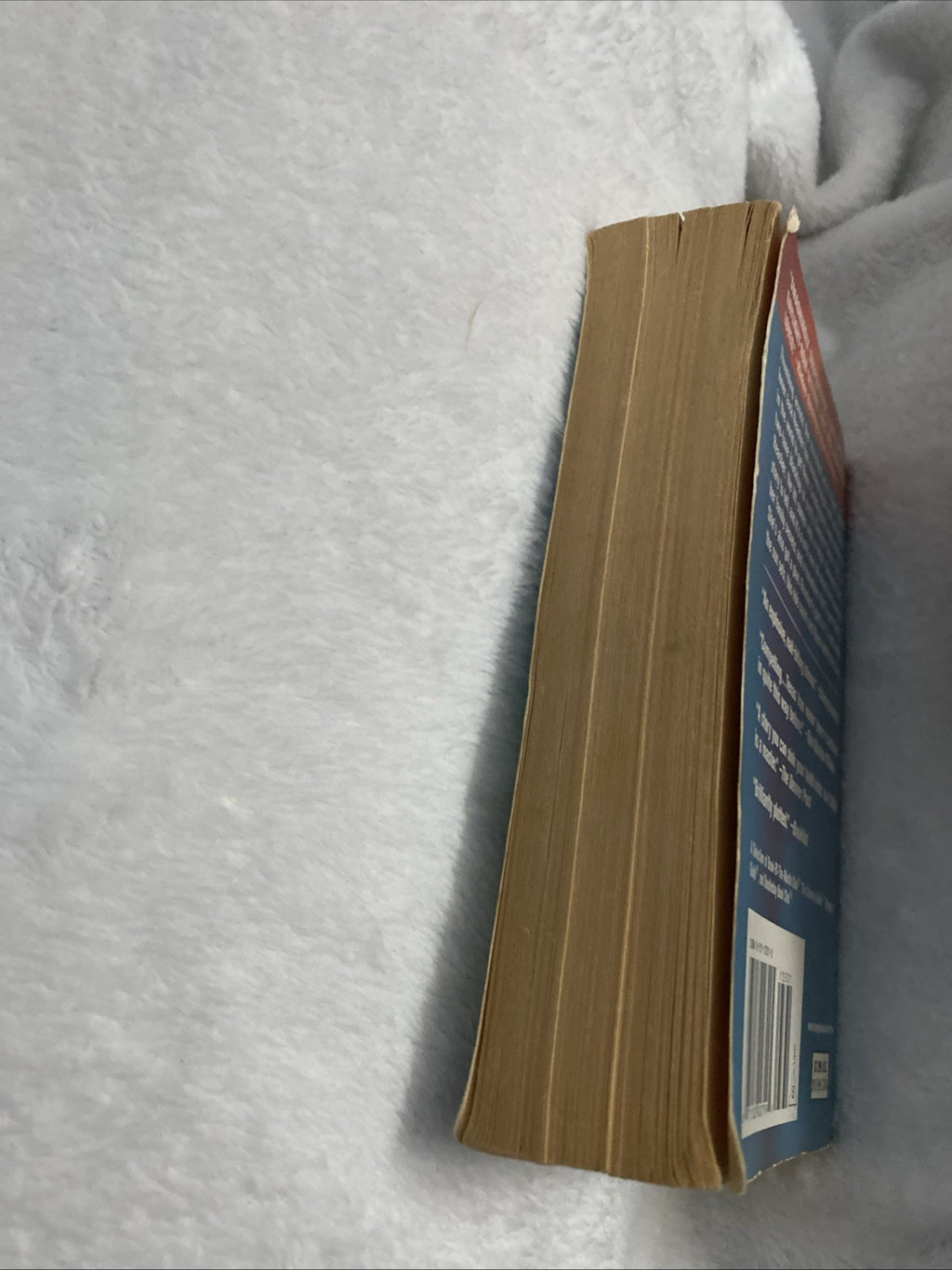 Echo Burning (Jack Reacher, No. 5) By Lee Child