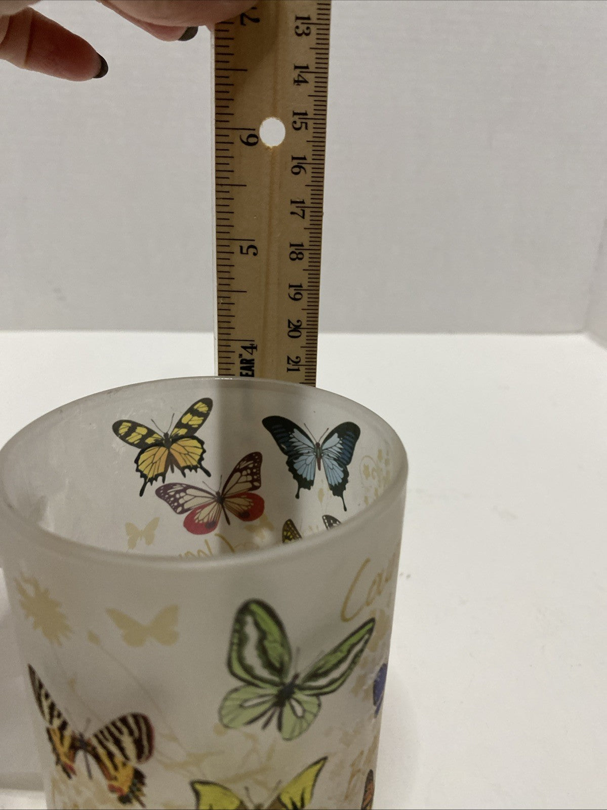 United States Holocaust Memorial Museum Washington DC Frosted Mug Butterflies