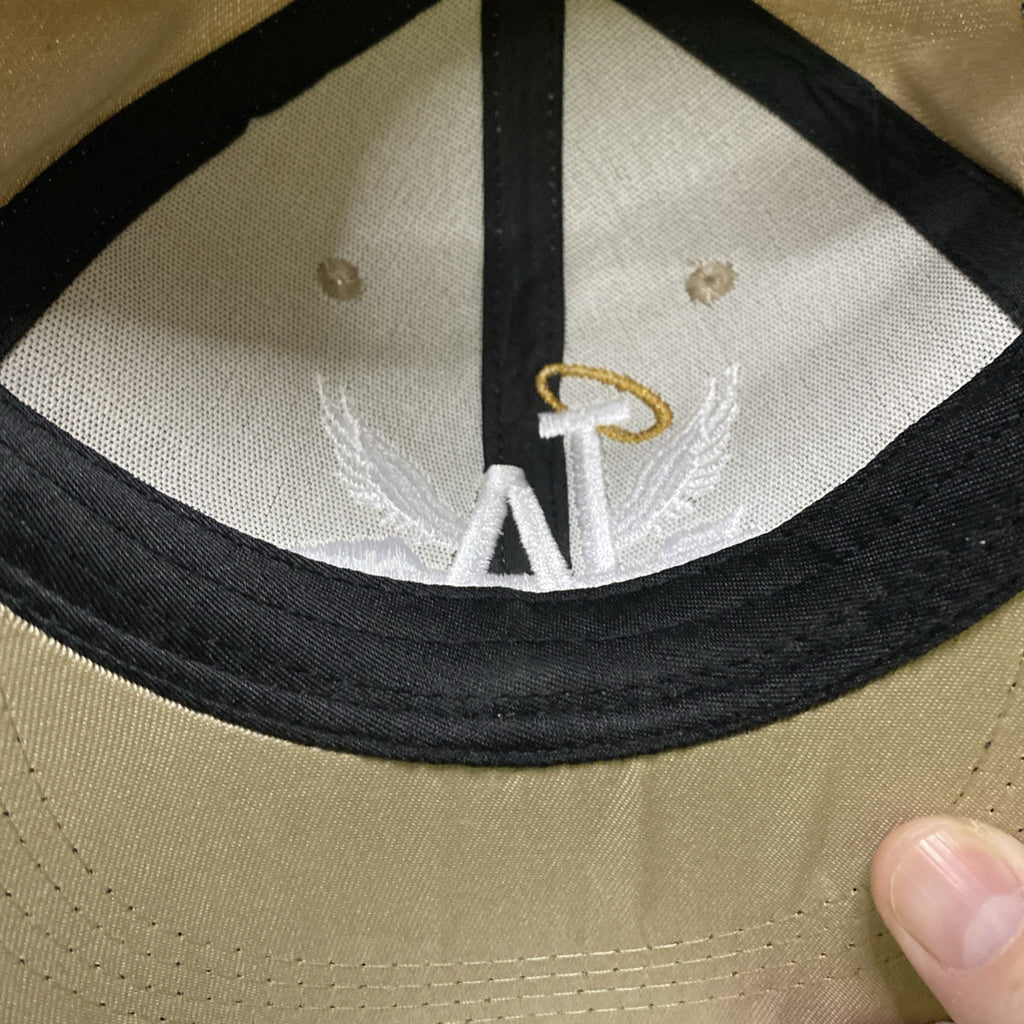 NEW Los Angeles Angels World Champions Baseball Hat