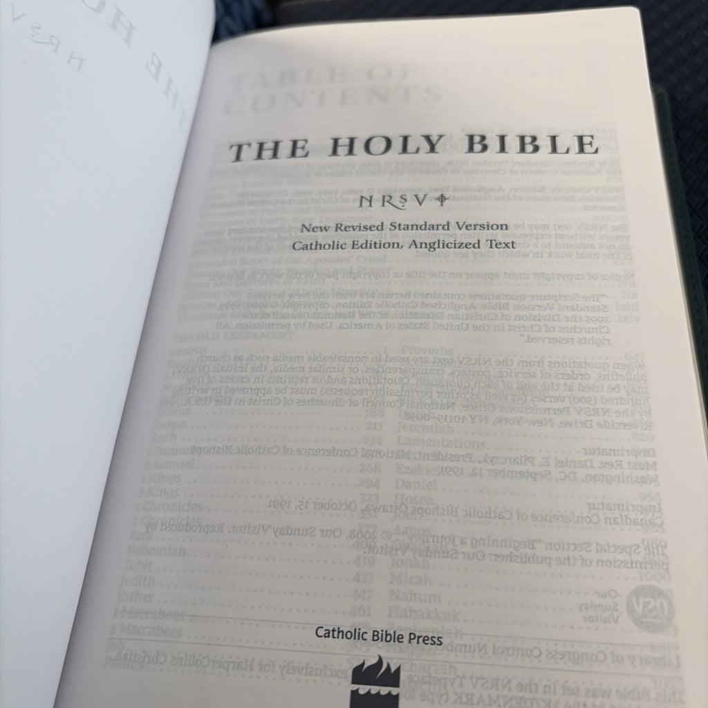 NRSV, Catholic Bible, Gift Edition, Leathersoft, Teal, Comfort Print - No Box