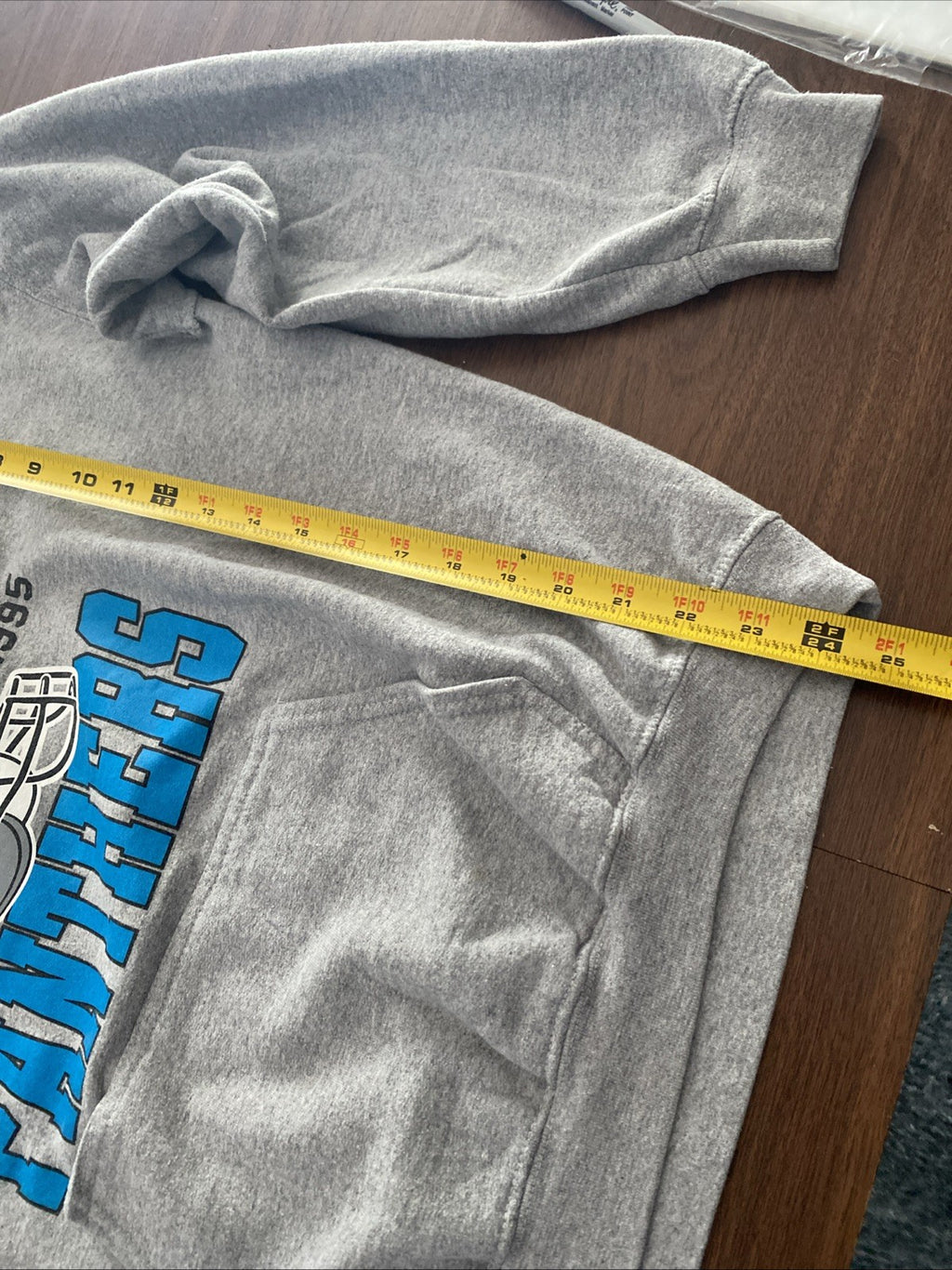 Junk Food Clothing's NFL Team Apparel CAROLILA PANTHERS Hoodie MENS Large