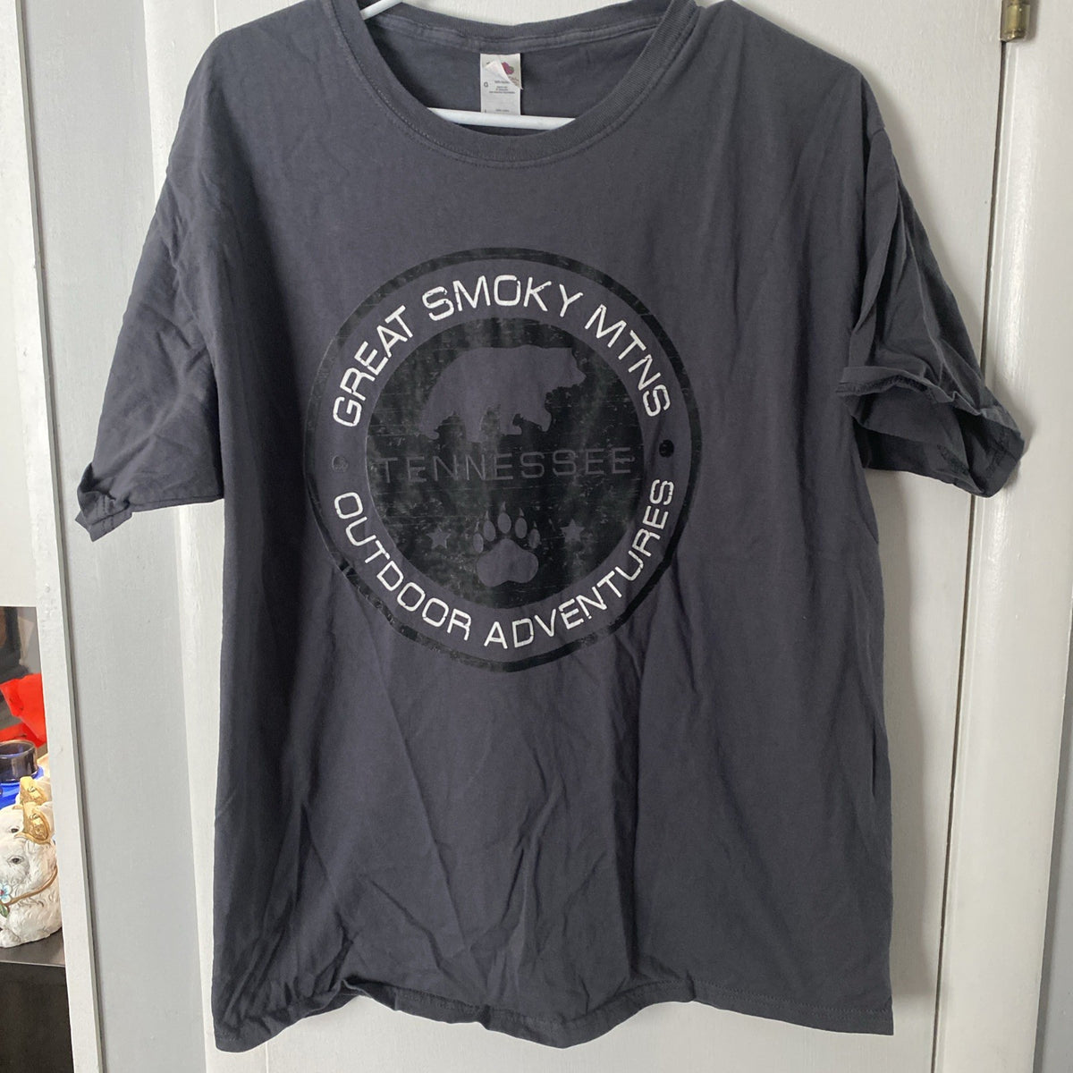 Great Smoky Mountains outdoor adventure adult large short sleeve gray T-shirt