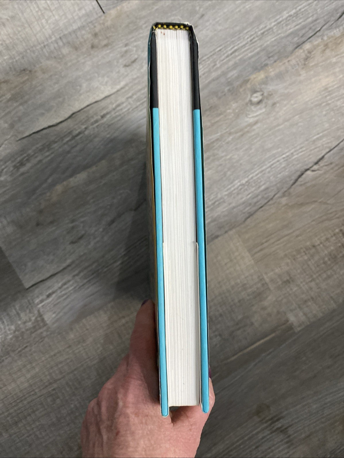 Percy Jackson's Greek Gods by: Rick Riordan - pre-owned - Very good condition