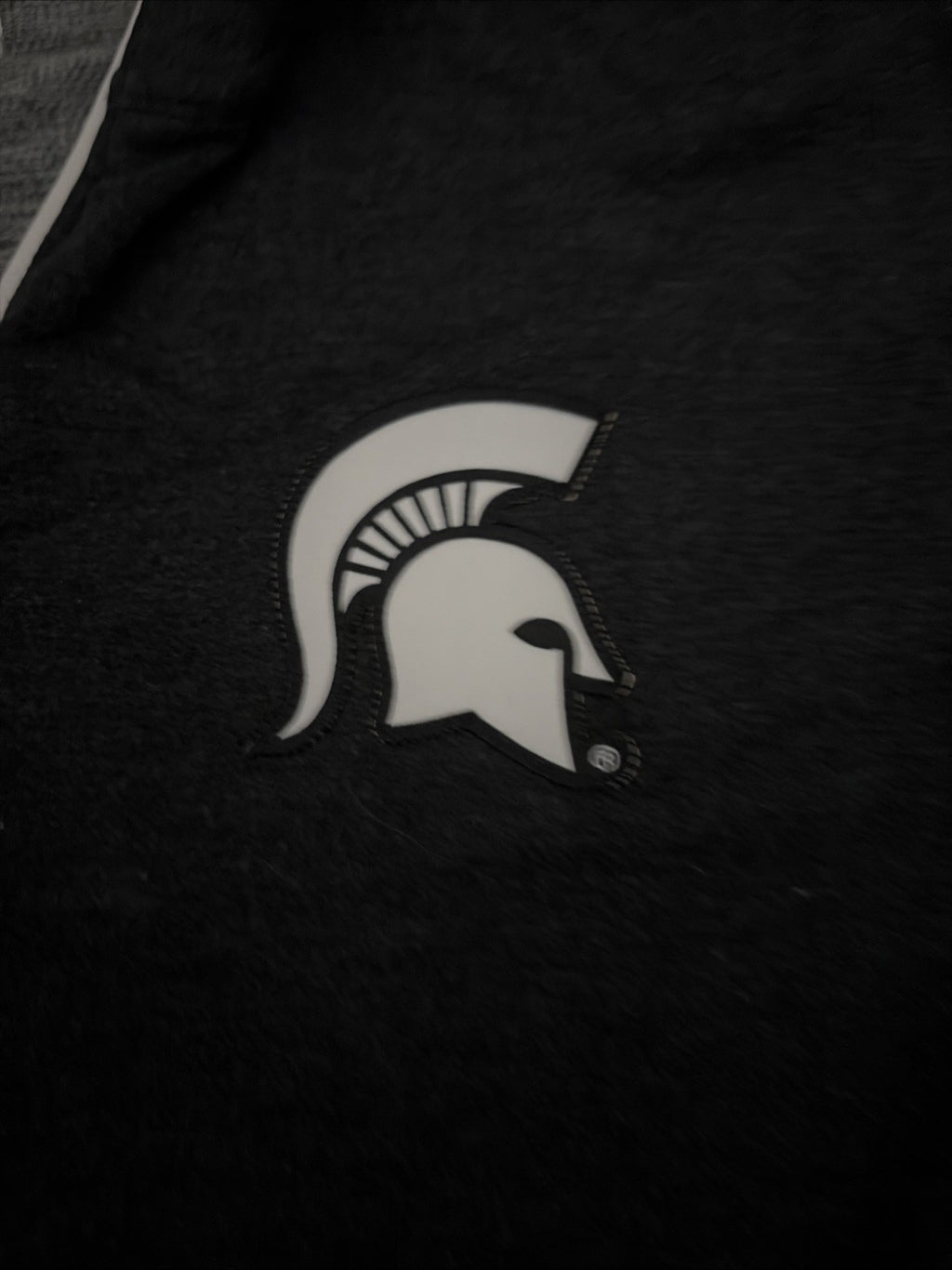 Nike Michigan State Spartans Zip Up Jacket Sweatshirt Mens Large Dark Gray Logo