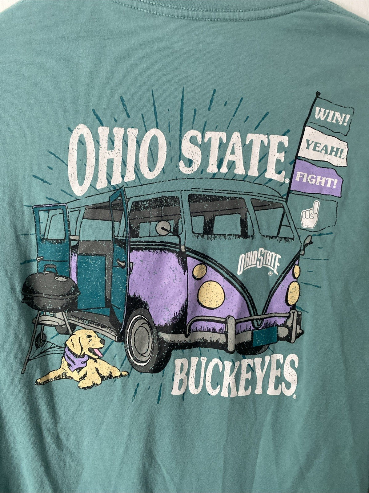 Women’s L Champion OHIO STATE BUCKEYES Teal Tailgate Long Sleeve T-shirt Dog VW