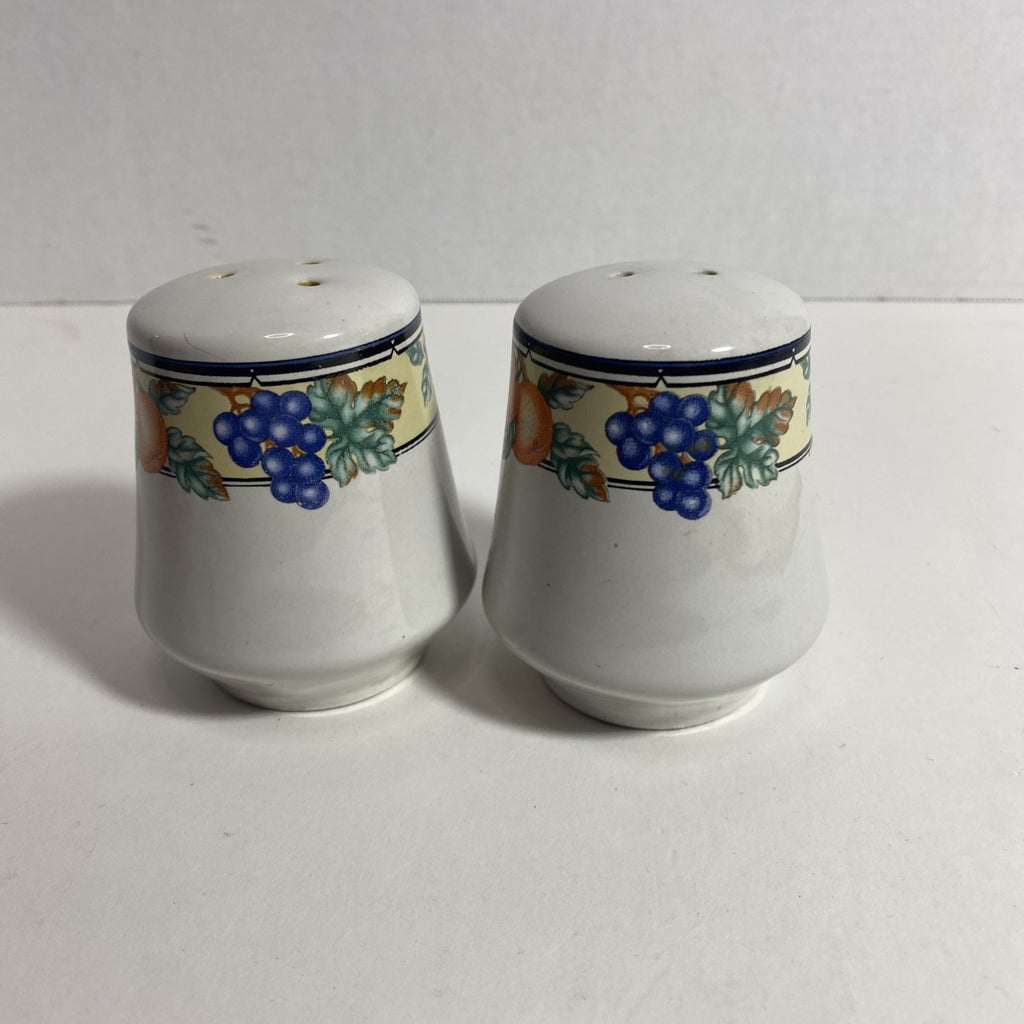 Oneida The Select Collection Orchard Stoneware Salt and Pepper Shaker- Pre-Owned