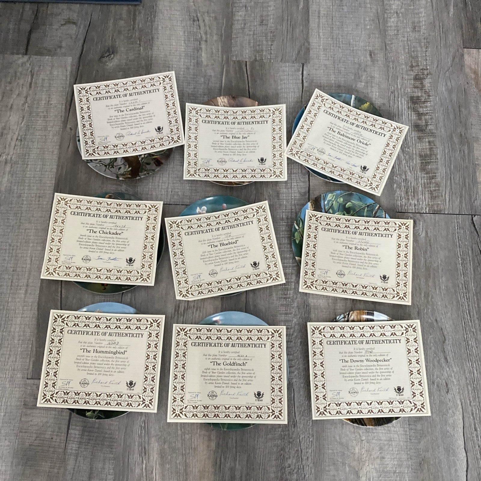 Set Of 9 Knowles Encyclopedia Britannica Birds Of Your Garden Collection Plates